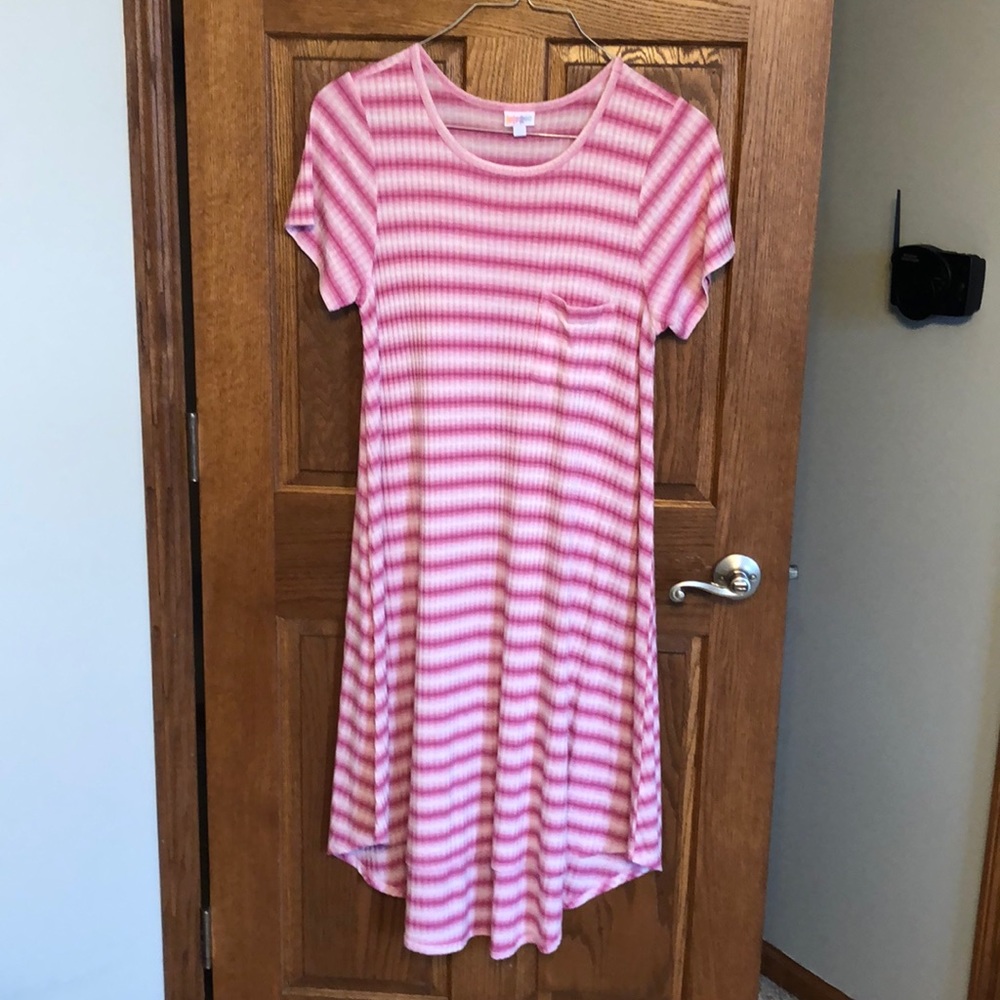 Lularoe Pink Stripe Carly Dress NWOT